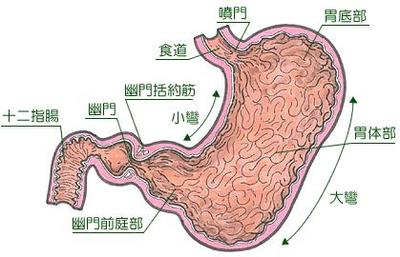 萎缩性胃炎